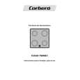 CORBERO V-DUOTWINSI Owners Manual