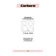 CORBERO V-TWINS210R Owners Manual